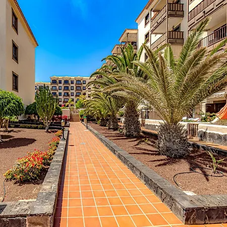 Relax In The Sun At With Ocean View And Pool Apartment Costa Del Silencio